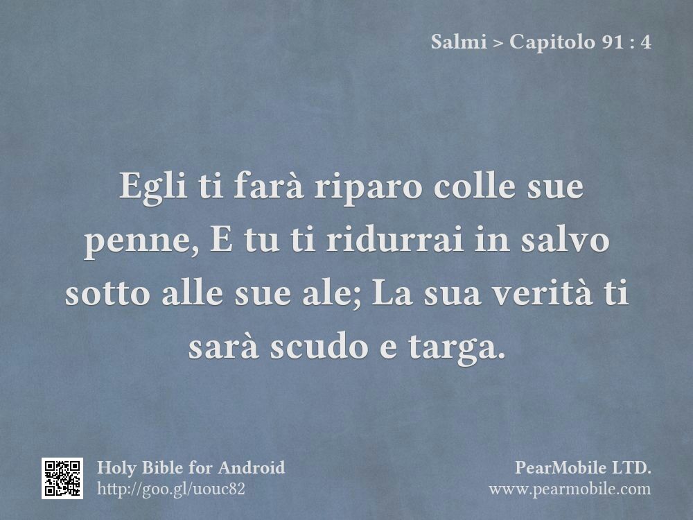 Salmi, Capitolo 91:4
